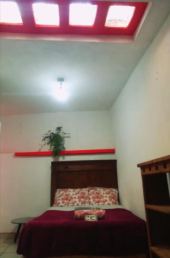 Home Sweet Home Guanajuato Extérieur photo
