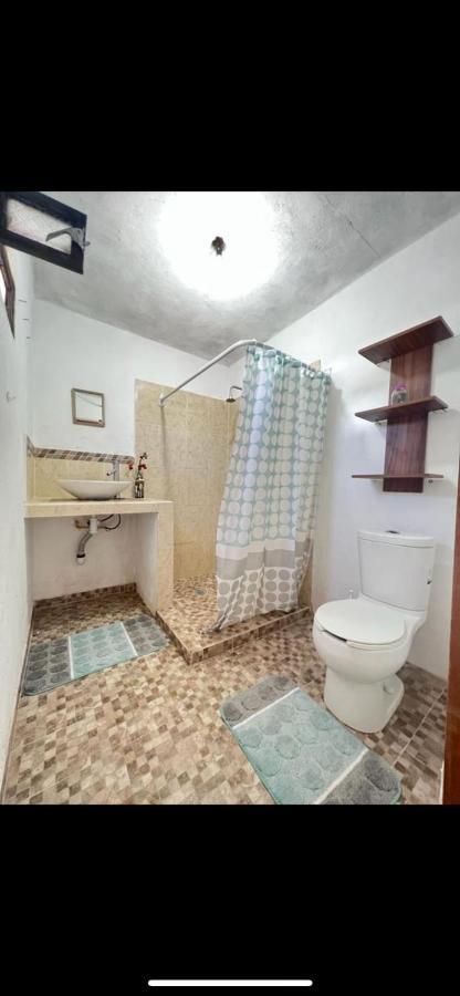 Home Sweet Home Guanajuato Extérieur photo